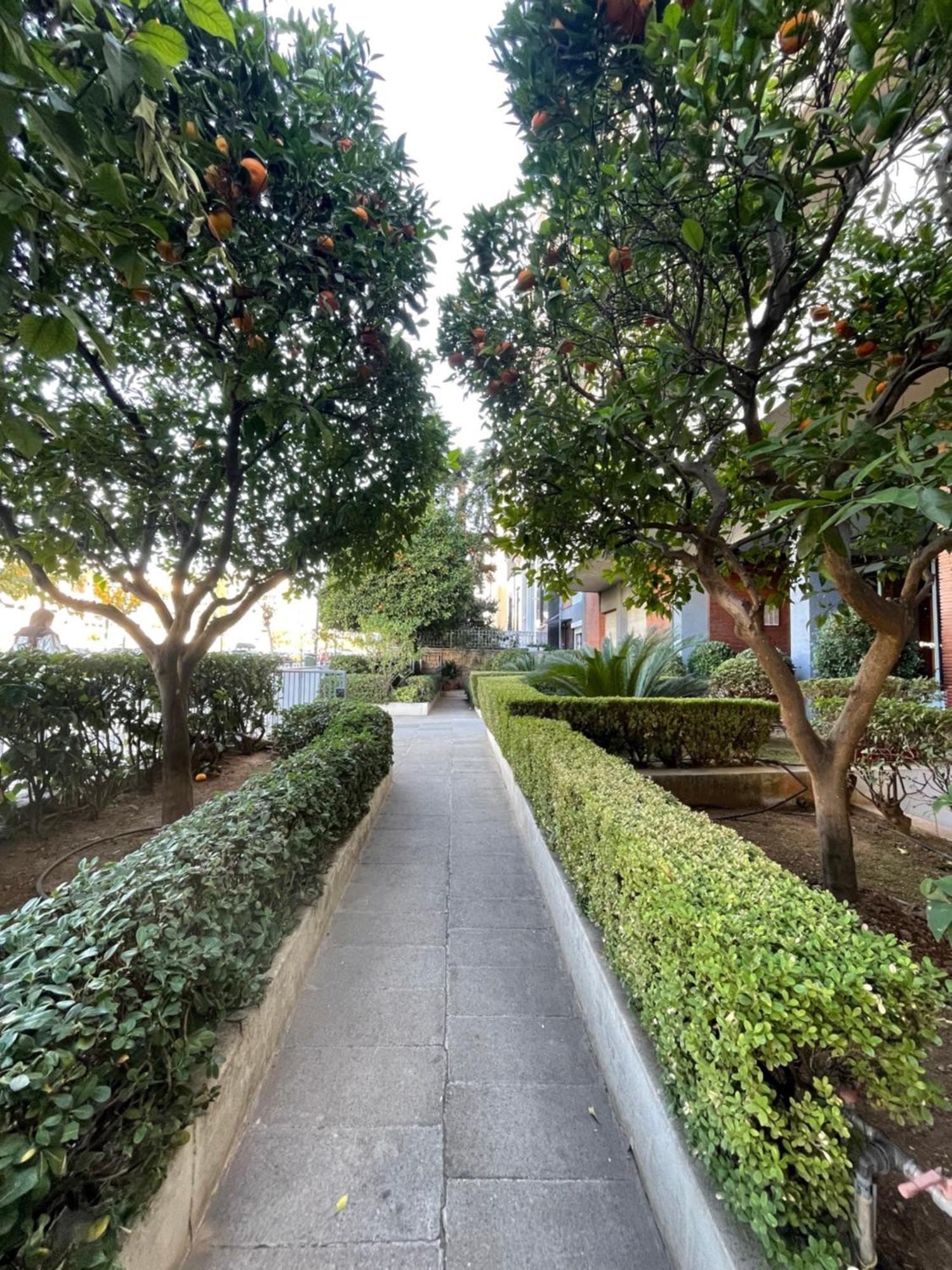Cozy Apartment Ideally Located City Center And Megaron Moussikis Metro Station Ateny Zewnętrze zdjęcie